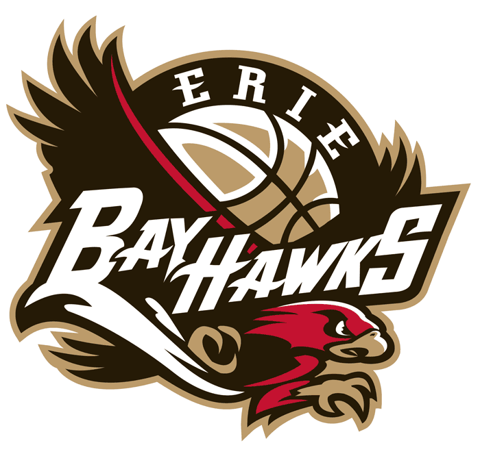 Erie BayHawks 2008-Pres Primary Logo iron on transfers for T-shirts